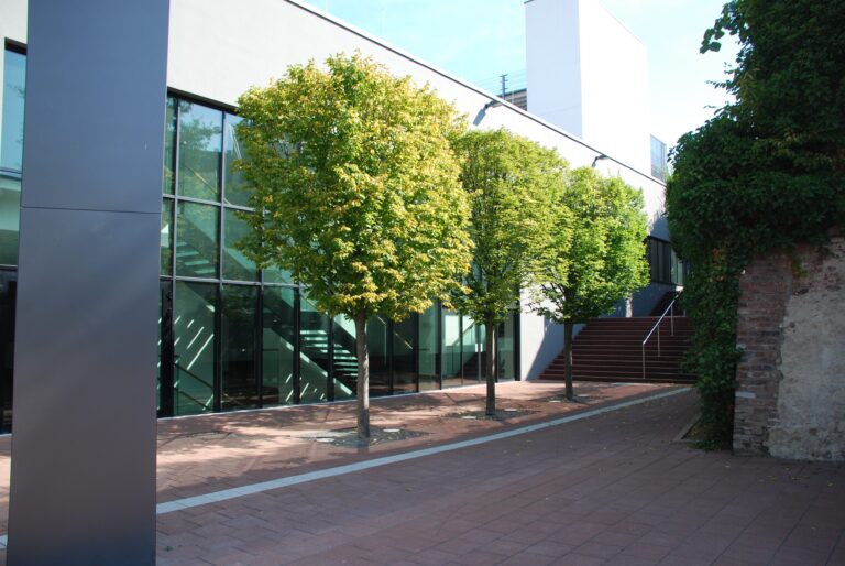 Erweiterung Rhein-Sieg-Halle in Siegburg.