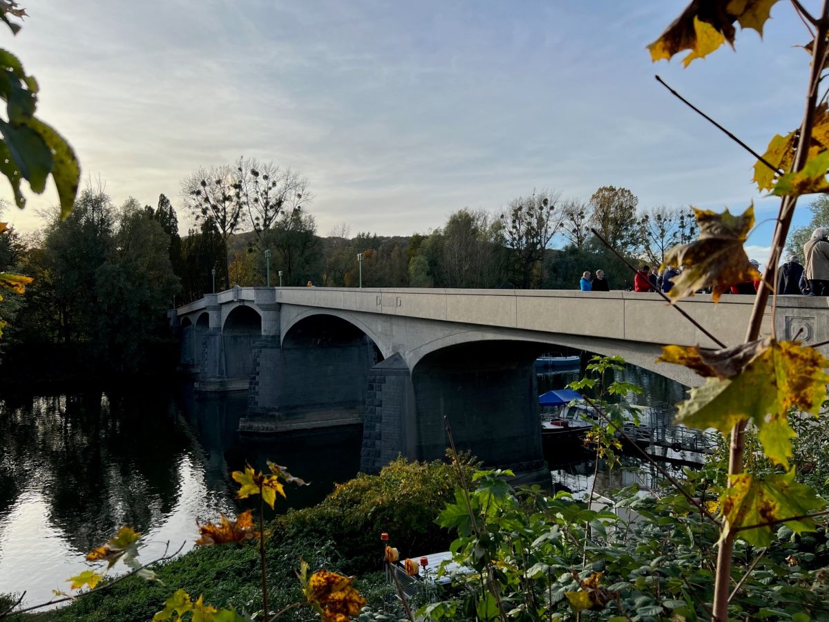 Prüfstatik HZI bei Instandsetzung der Brücke Insel Grafenwerth.